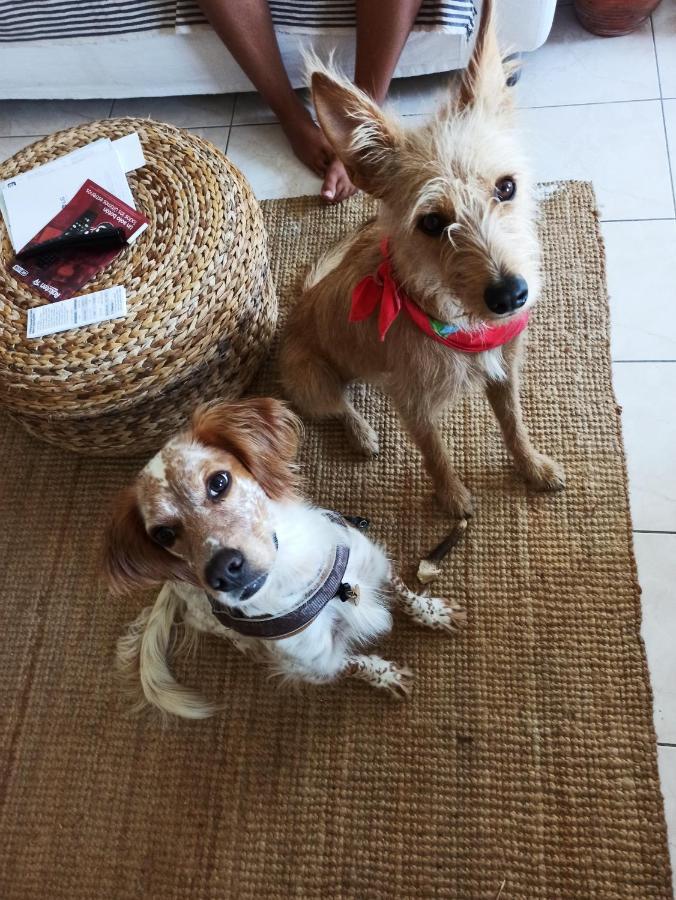 Homestay Attic Private Bedroom Aljezur Ngoại thất bức ảnh